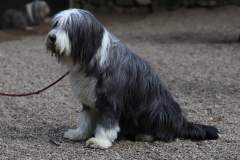 FB_IMG_1722259785531