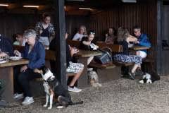 FB_IMG_1722259805071