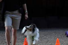 FB_IMG_1722259856138