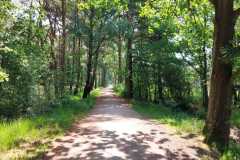 IMG-20230618-WA0005