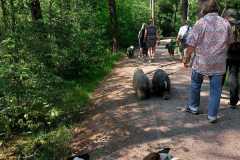 IMG-20230618-WA0009