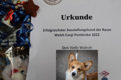 Urkunde