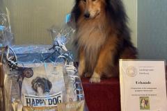 IMG-20241220-WA0003