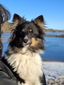 607421834_2679478469056136_5125601487732321093_n