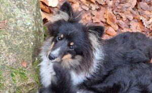 611295863_2679478895722760_7021149021139768589_n