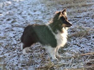 611331751_2679478745722775_3333139684251767387_n